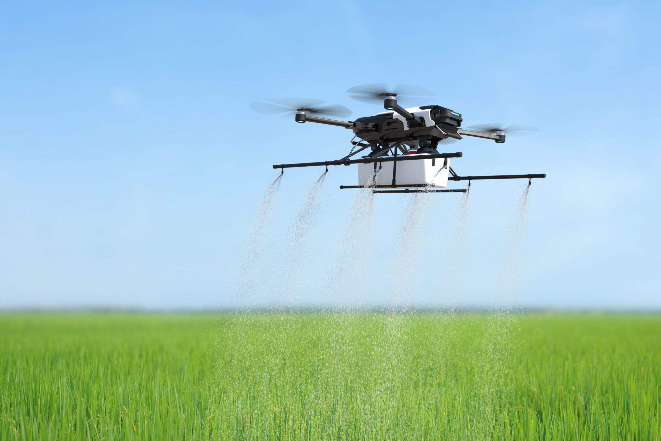 Drone spraying fertilizer on vegetable green plants, Agriculture technology, Farm automation.