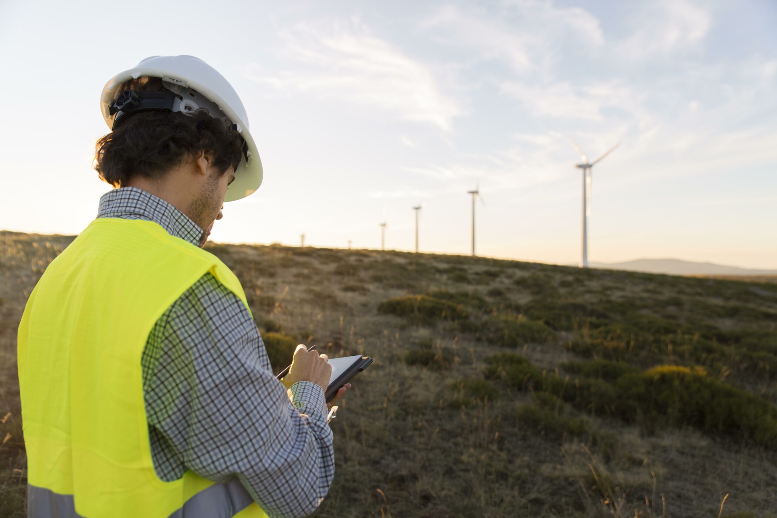 Man surveying wind farms field